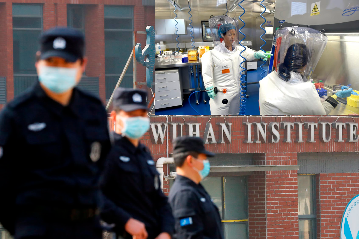 Nuevo virus en China