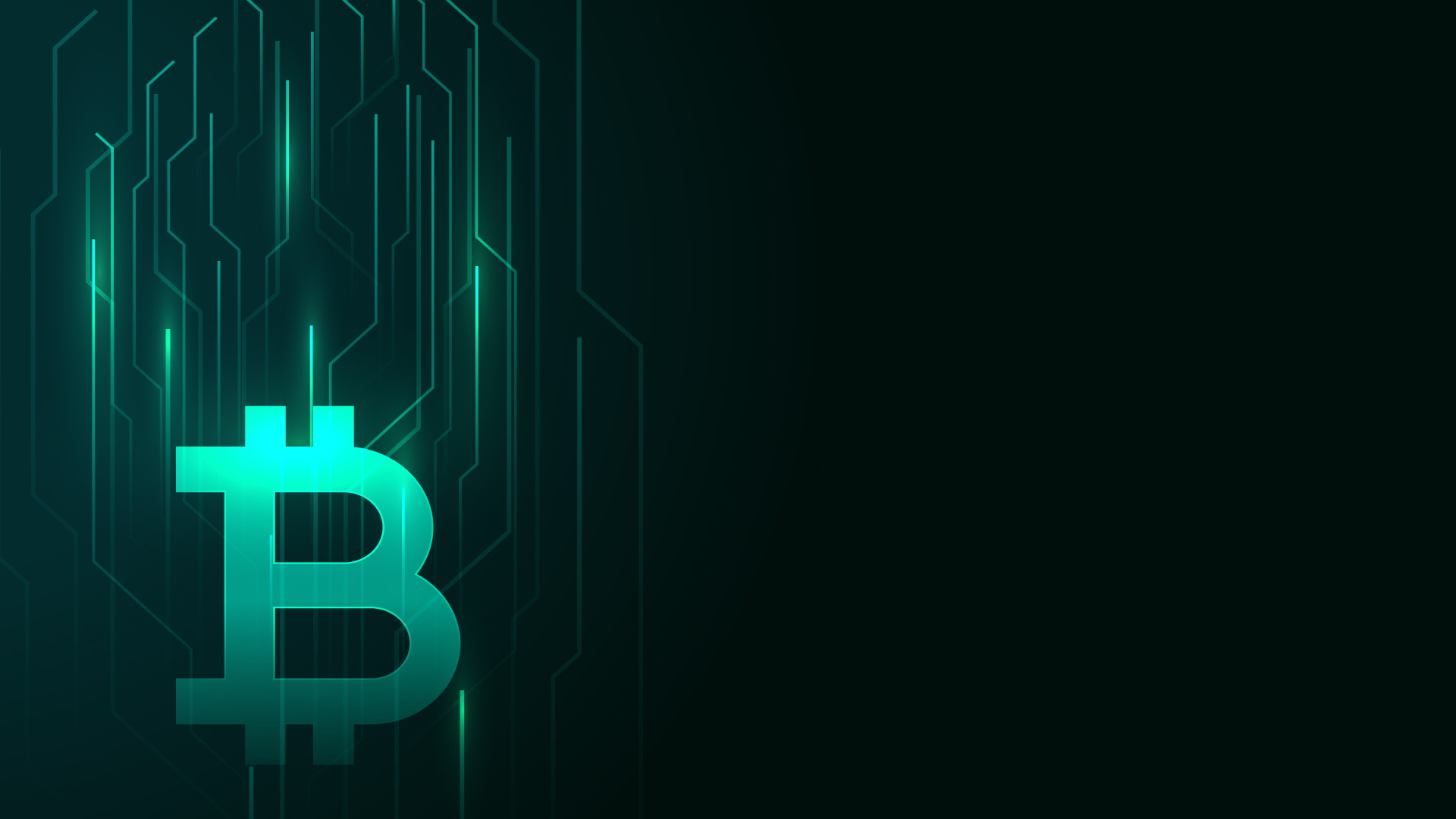 Carteras digitales para criptomonedas