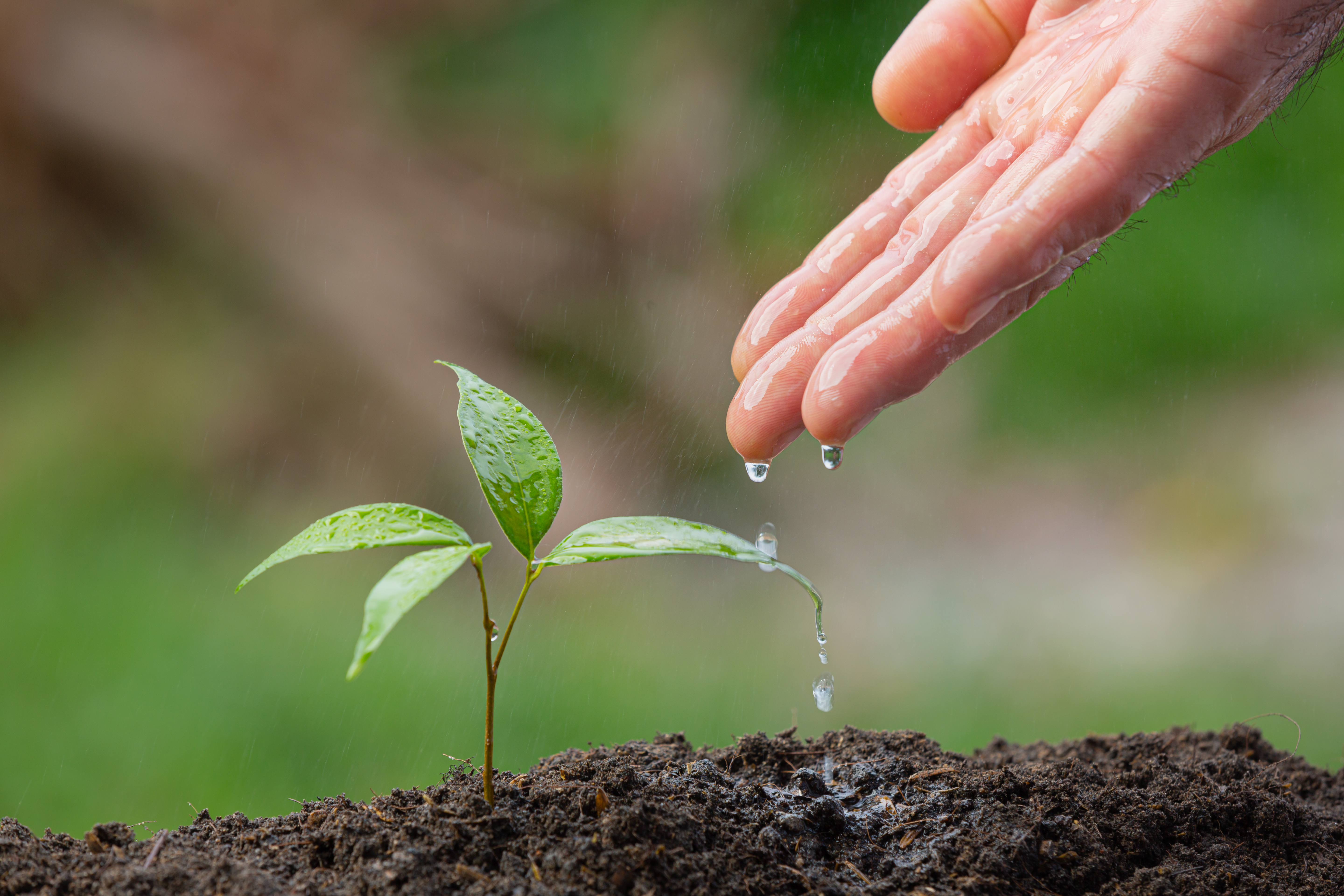 Al rescate del medio ambiente