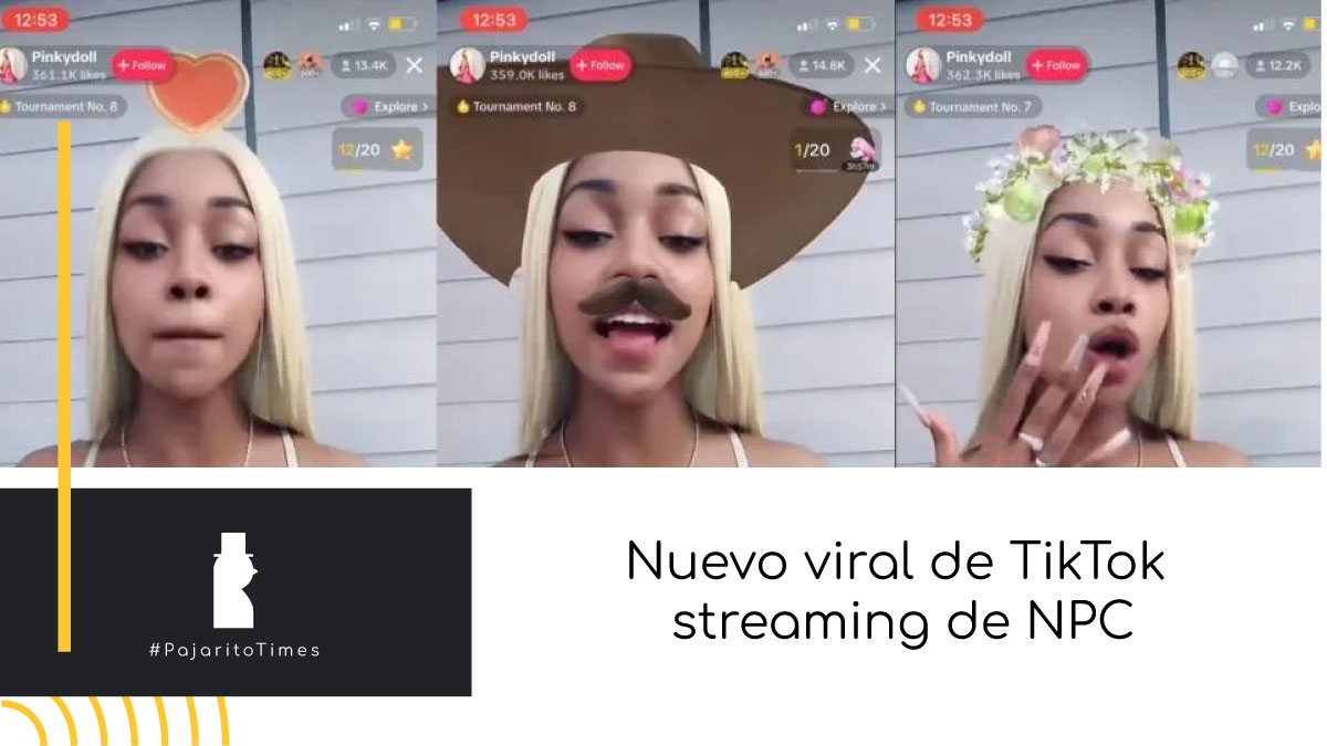 tiktok-viral-npc-streaming-pinkydoll