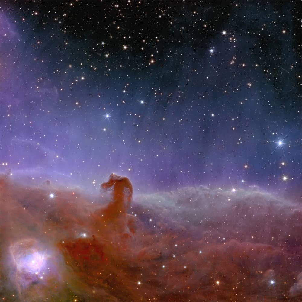 Nebulosa cabeza de caballo