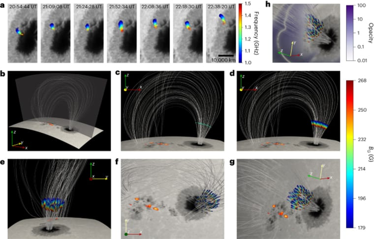 Modelado 3D de la mancha solar AR-12529 y los sitios de emisión de ECM asociados por la Administración Nacional Oceánica y Atmosférica de EE. UU. (NOAA). Crédito: Sijie Yu et. al/Naturaleza Astronomía