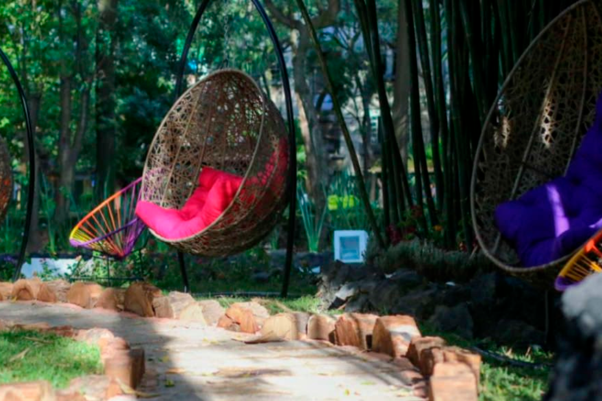 Destinos Revitalizantes para Desconectar CDMX