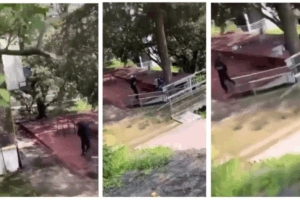 Asesino del CCH Sur