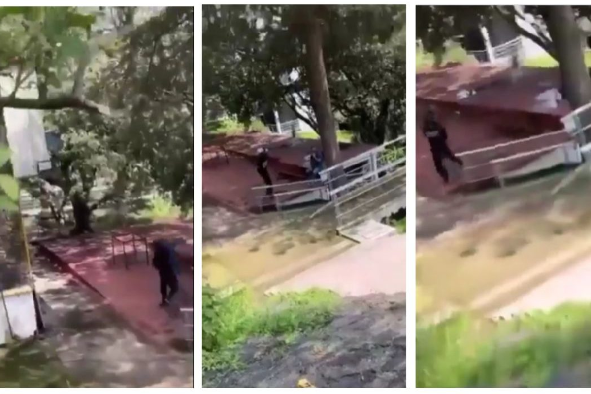 Asesino del CCH Sur